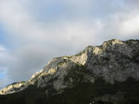 2. Volvofan.at Ausfahrt am 4.10.2003-IMG_3147.jpg