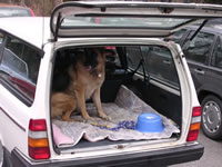 3. Volvofan.at (Winterausfahrt) am 14.02.2004-DSCN0289.jpg