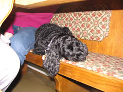 6. Volvofan.at Ausfahrt am 29.04.2006-6_060.jpg