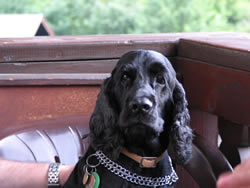 7. Volvofan.at Ausfahrt am 09.06.2007-IMG_9709.jpg