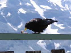 7. Volvofan.at Ausfahrt am 09.06.2007-IMG_9832.jpg