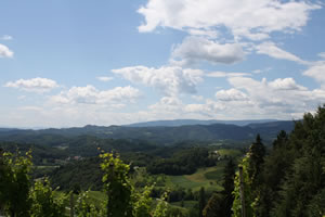 9. Volvofan.at Ausfahrt am 25.06.2001-volvoausfahrt9_0040.jpg