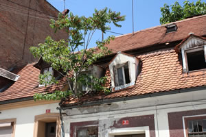 9. Volvofan.at Ausfahrt am 25.06.2001-volvoausfahrt9_0260.jpg